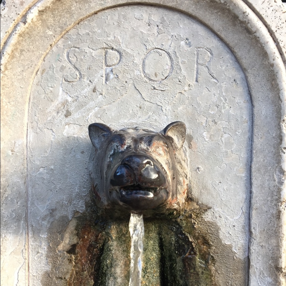 Meet your Posher, Tricia